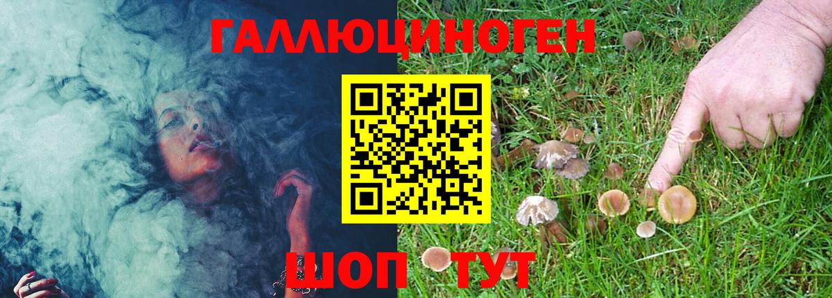 закладка  Вход с VPN  Челябинск  Псилоцибиновые грибы Magic Shrooms  Галлюциногенные грибы Cubensis 